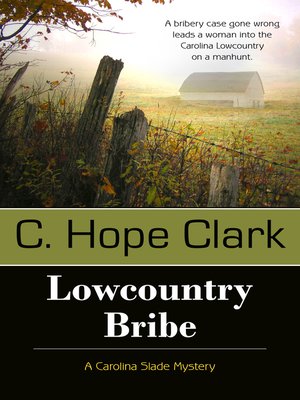 cover image of Lowcountry Bribe
